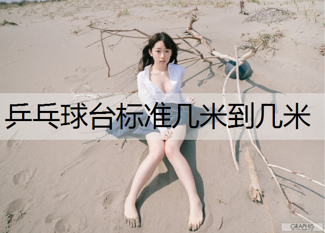 乒乓球台标准几米到几米