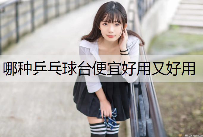 哪种乒乓球台便宜好用又好用