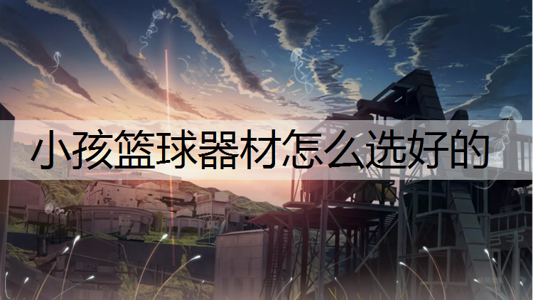 小孩篮球器材怎么选好的