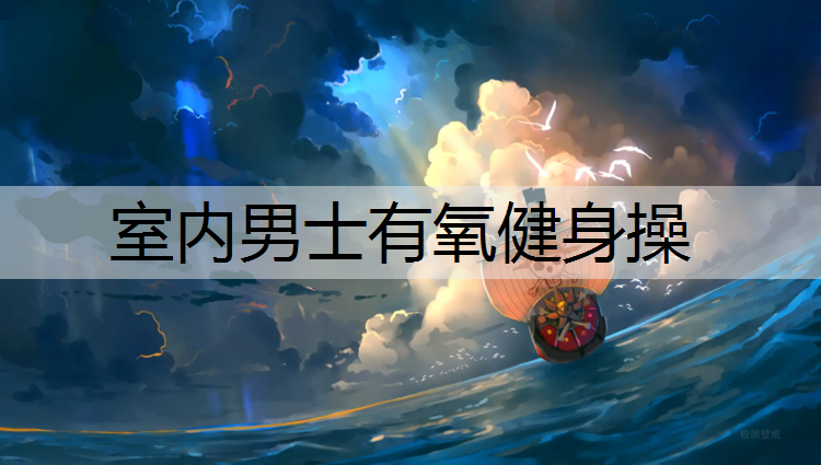 室内男士有氧健身操