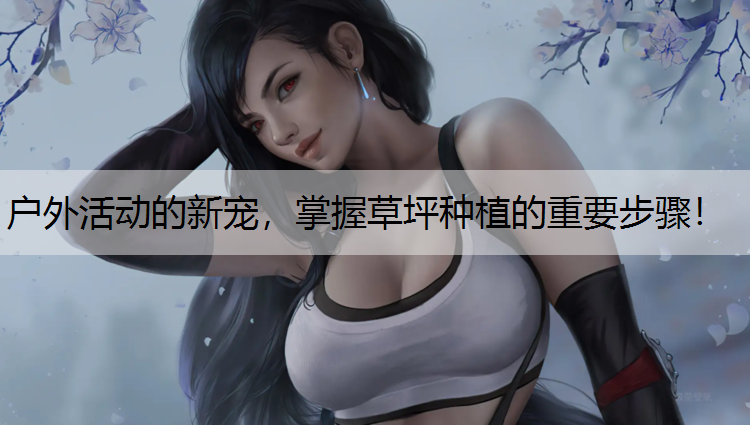 户外活动的新宠，掌握草坪种植的重要步骤！