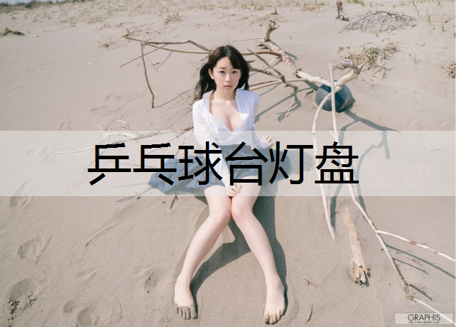 乒乓球台灯盘